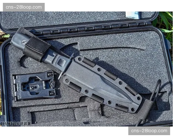 历史回顾：混合防守的意大利根源，从特拉帕托尼到当下的战术演变